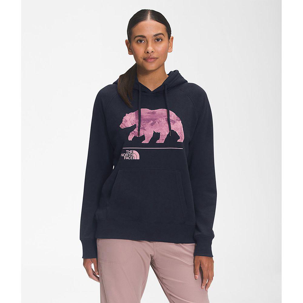 The north face on sale bearscape